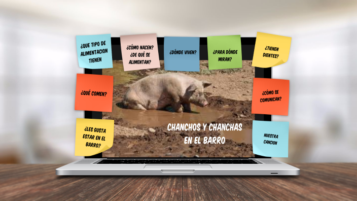 Curiosidades de los chanchos y chanchas by Debora Gabay on Prezi