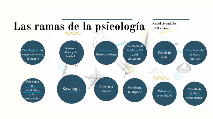 Testificar Inocente triple Las ramas de la psicología by Xasiri Osuna Avendaño