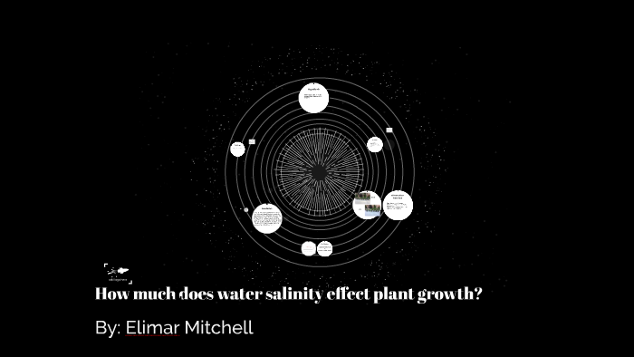 how-much-does-water-salinity-affect-plant-growth-by-elimar-mitchell