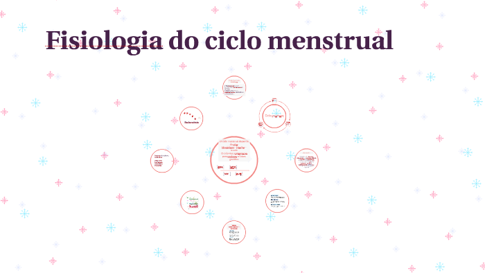 Fisiologia Do Ciclo Menstrual By Ângela Maria Rutkoski 2828