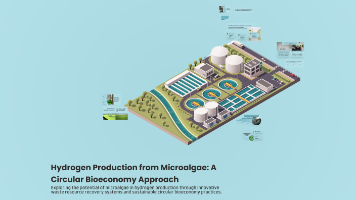 Hydrogen Production from Microalgae: A Circular Bioeconomy Approach by ...