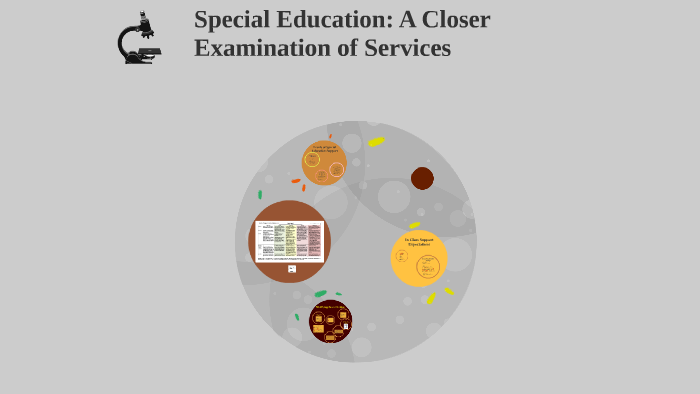 levels-of-special-education-support-by-william-kelly