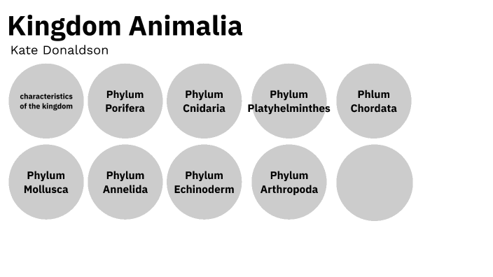 Kingdom Anamilia by Kate Donaldson on Prezi