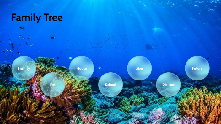 Family Tree by ADRIAN PABON RIVERA on Prezi