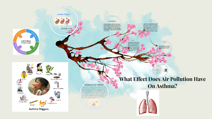 What Effect Does Air Pollution Have On Asthma By Kaleahi Carter On Prezi