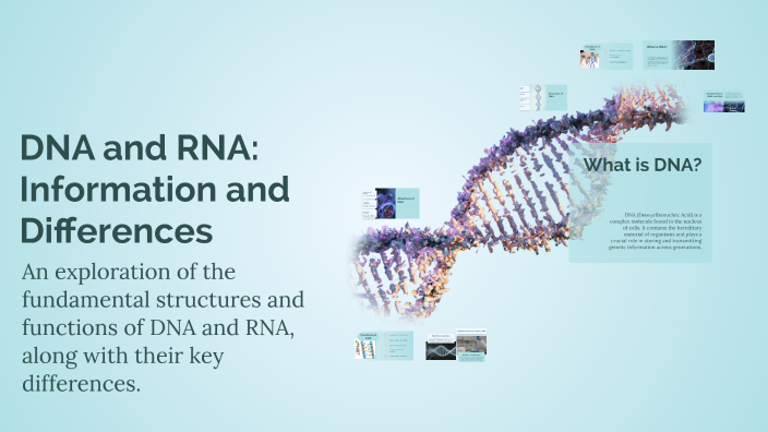 DNA and RNA: Information and Differences by فارس فارس on Prezi