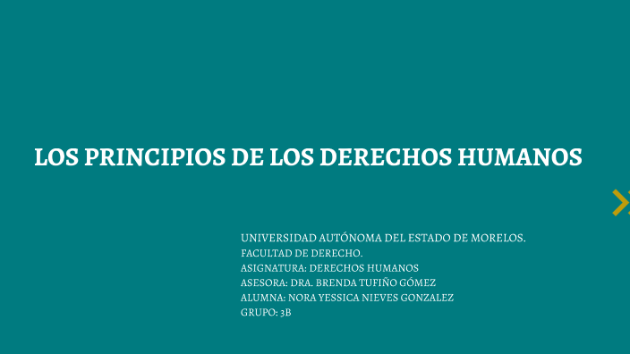 LOS PRINCIPIOS DE LOS DERECHOS HUMANOS by Nora Nieves on Prezi