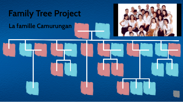 French Family Tree By Kirsten Connelly