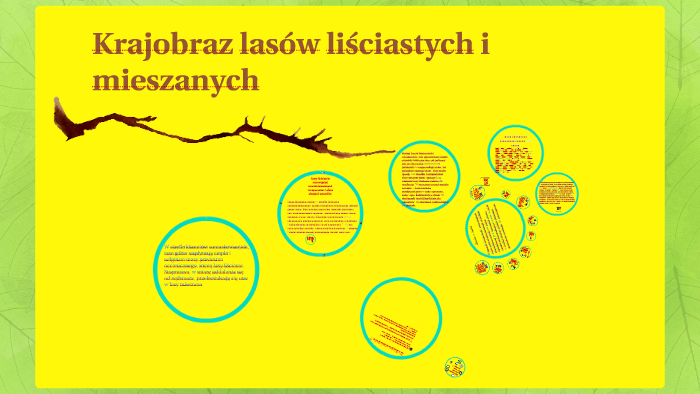 Krajobraz lasów liściastych i mieszanych by Kodzian on Prezi