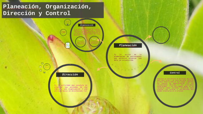 Planeación, Organización, Dirección y Control by Byron Calderon on Prezi