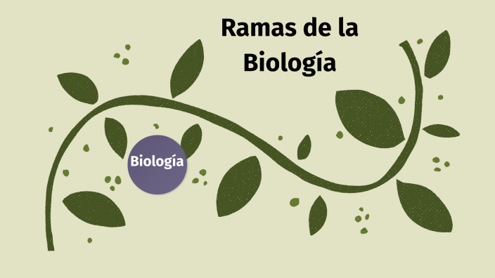 Ramas de la Biología by Guadarrama Karol