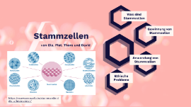 Profile Page For David Ziethen Prezi