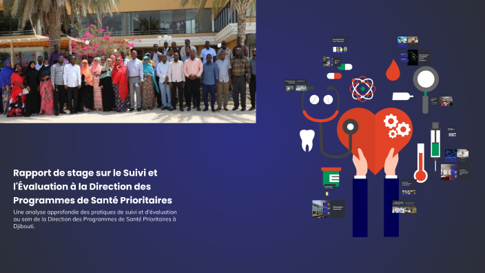 Rapport de stage sur le Suivi et l'Évaluation à la Direction des ...