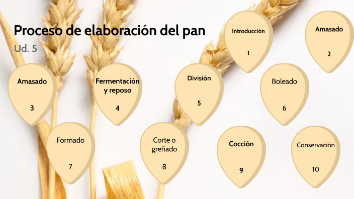 Proceso De Elaboración Del Pan By On Prezi 8154