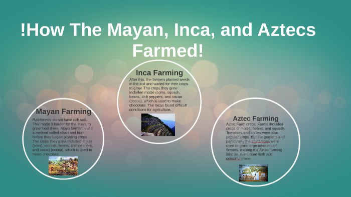 How The Mayan, Inca, and Aztecs farmed by Nevaeh Amaya on Prezi
