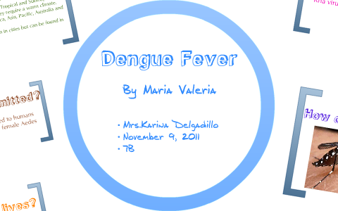 Dengue Fever by maria delgadillo on Prezi