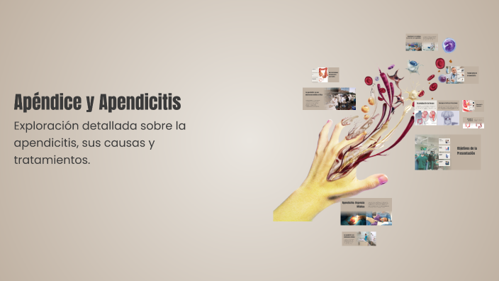 Apéndice y Apendicitis by Ginette Bulnes on Prezi