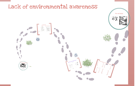 lack of environmental awareness examples