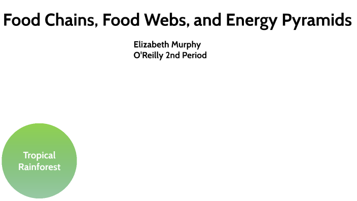 Food Chains, Food Webs, And Energy Pyramids By Elizabeth Murphy On Prezi