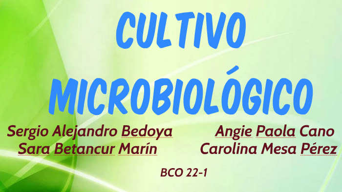 CULTIVO MICROBIOLÓGICO by Sergio Alejandro Bedoya