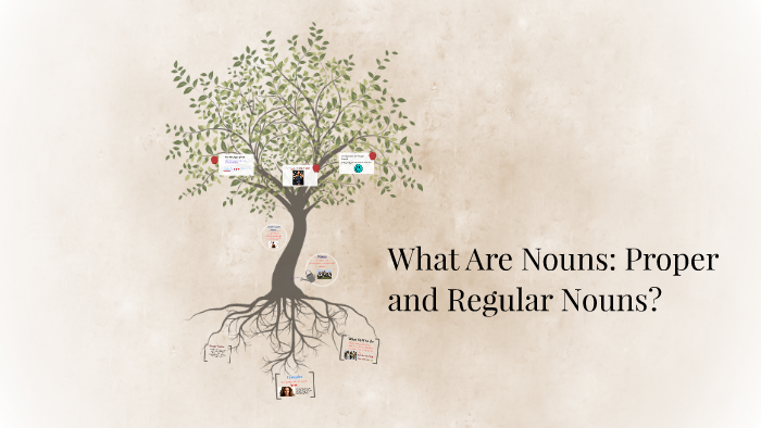 What Are Nouns: Proper and Regular Nouns. by india woodard on Prezi