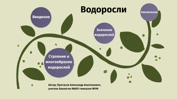 Чем объясняется разнообразие водорослей. Чем объясняется разнообразие водорослей