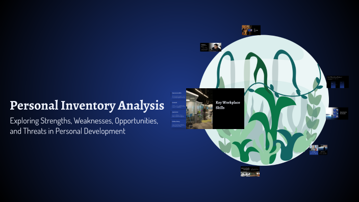 Personal Inventory Analysis by Brianna Parker on Prezi