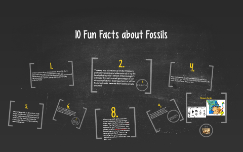 10 Fun Facts About Fossils By Sarah Bouldin On Prezi