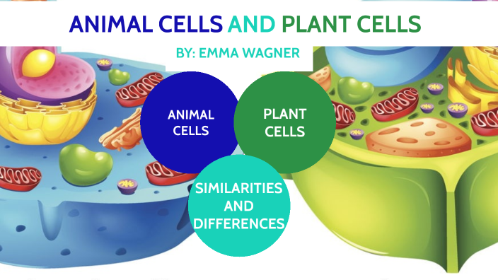 Plant and Animal Cells by Emma Wagner on Prezi