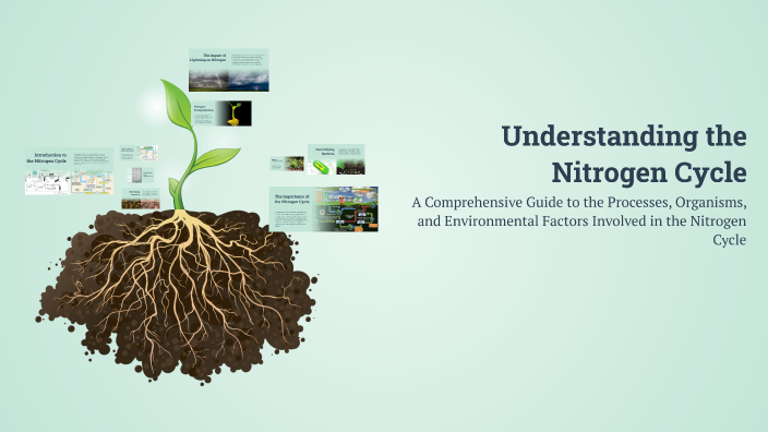 Understanding the Nitrogen Cycle by aisha sabri on Prezi