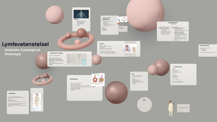 Lymfevatenstelsel by Anne Sleeuwen on Prezi