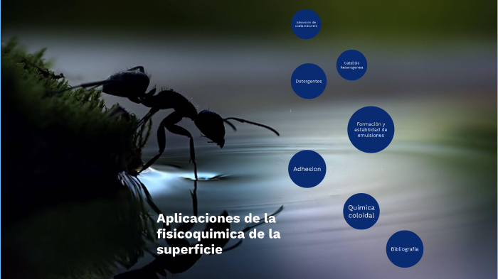 Aplicaciones de la fisicoquimica de la superficie by Diego Santiago on