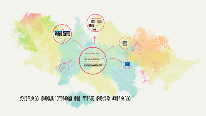 Pollution and the food chain effects by Sydney Watkins Biology Diagrams