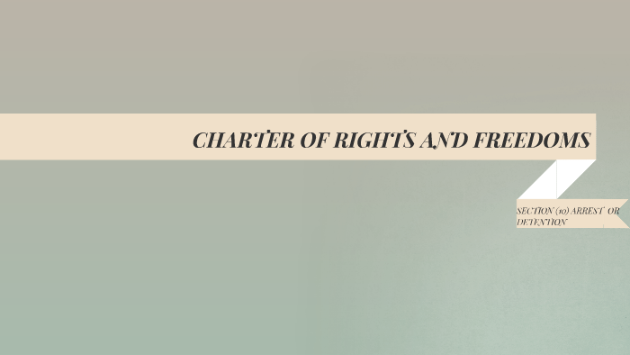 charter of rights and freedoms freedom of speech