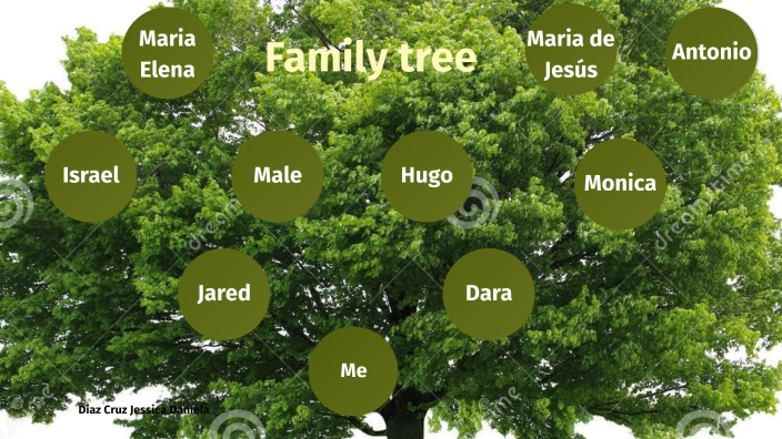 Family tree by Jessy Díaz on Prezi