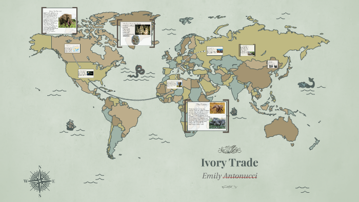 Ivory Trade By Emily Antonucci On Prezi   Xzl3xuknnsygw44vg3dm63gqx76jc3sachvcdoaizecfr3dnitcq 3 0 