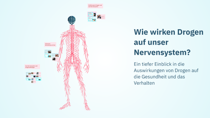 Drogen Wirken Auf Das Nervensystem Wie wirken Drogen auf unser Nervensystem? by Ben Wojtasik on Prezi