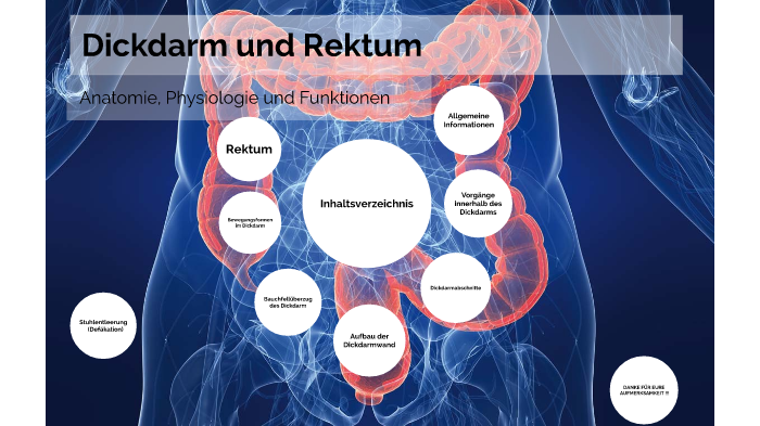 Dickdarm und Rektum by Johanna Hamann on Prezi