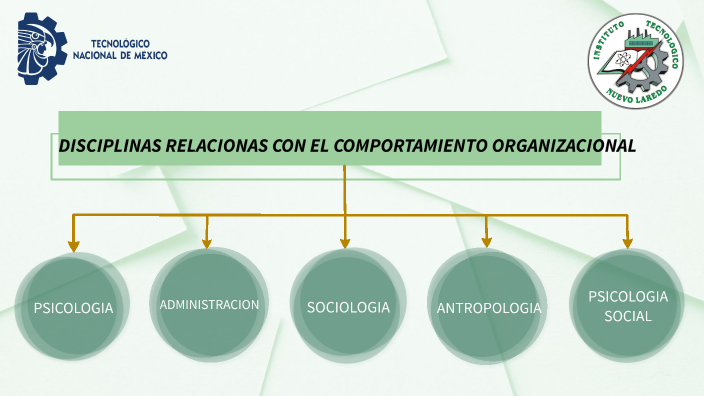 DISCIPLINAS RELACIONADAS CON EL COMPORTAMIENTO ORGANIZACIONAL by