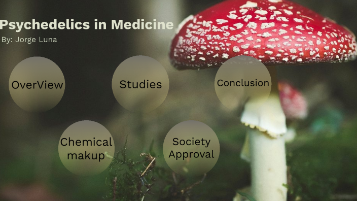 Psychedelics In Medicine By Joey Luna