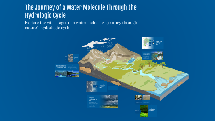 The Journey of a Water Molecule Through the Hydrologic Cycle by Khloe ...