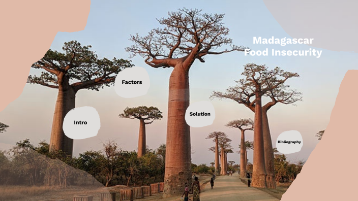 madagascar-food-insecurity-by-sofia-rodriguez-on-prezi