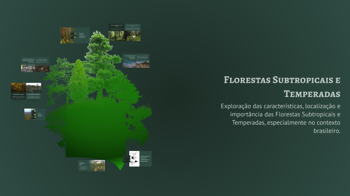 Florestas Subtropicais e Temperadas by Iuri Uhmann on Prezi