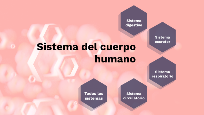 sistema del cuerpo humano by Mia Muños on Prezi