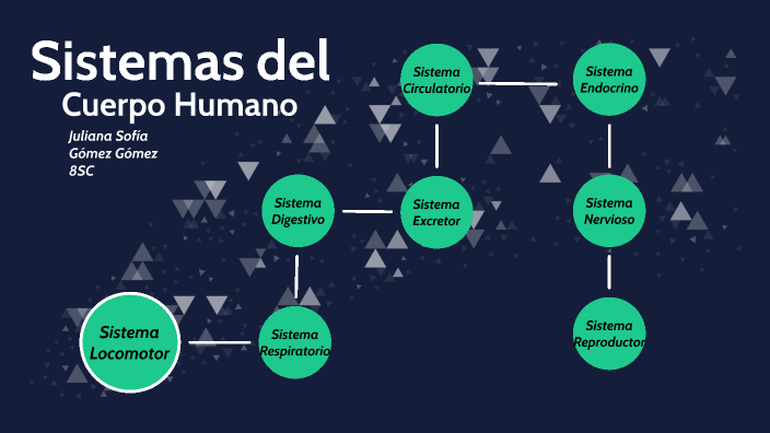 Sistemas De El Cuerpo Humano By Juliana Sofía Gómez Gómez On Prezi Sistemas De El Cuerpo Humano By Juliana Sofía Gómez Gómez On Prezi