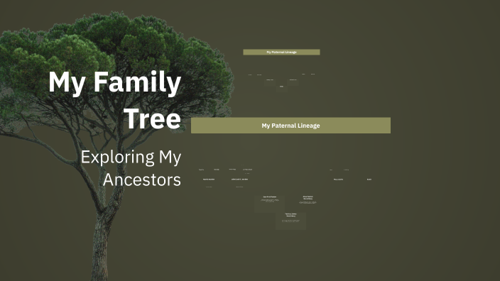 My Family Tree by Viva on Prezi