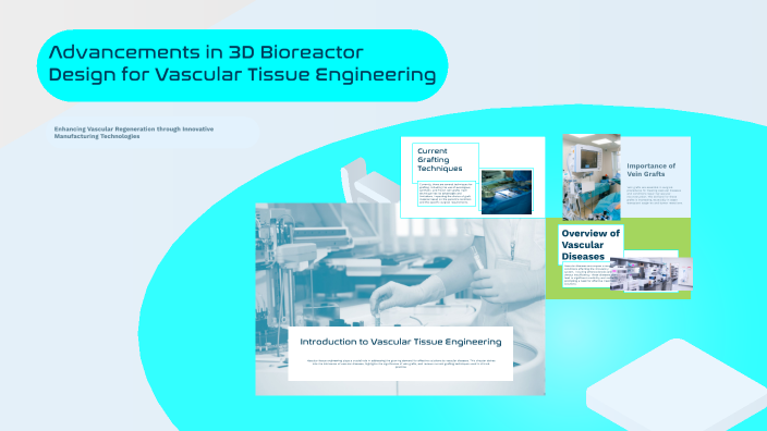 Advancements in 3D Bioreactor Design for Vascular Tissue Engineering by ...
