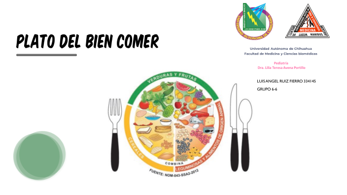 El plato del buen comer by LUIS ANGEL RUIZ FIERRO on Prezi