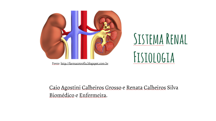 Sistema Renal by Biomed Faminas on Prezi