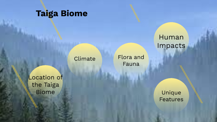 Flora - Taiga Biome